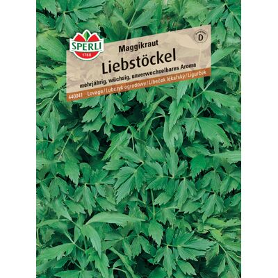 Sperli Liebstöckel Maggikraut Sperli Liebstöckel Maggikraut