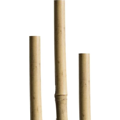 Windhager Tonkinstab 180 cm Windhager Tonkinstab 180 cm