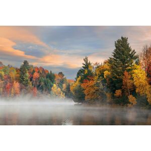 BÖNNINGHOFF Kunstdruck auf Keilrahmen HERBSTWALD 118x78cm BÖNNINGHOFF Kunstdruck auf Keilrahmen HERBSTWALD 118x78cm