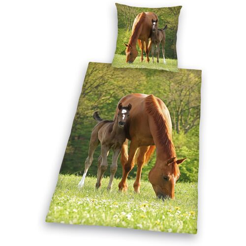 HERDING Kinder-Renforcé-Bettwäsche PFERDE 135 x 200 cm grün/braun