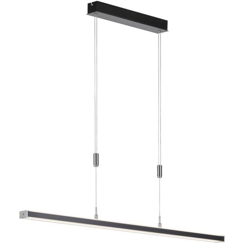 FISCHER & HONSEL LED Pendellampe VITAN schwarz