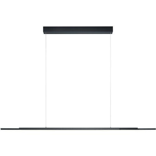 BANKAMP LED Pendellampe LIGHTLINE V3 anthrazit eloxiert