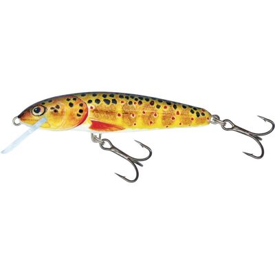 Salmo Minnow Sinking 5cm 5G Trout 0,8/1,5m Salmo Minnow Sinking 5cm 5G Trout 0,8/1,5m