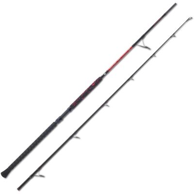 UNI CAT Warlock RCX Allround Cat 100-300g / 2,85m UNI CAT Warlock RCX Allround Cat 100-300g / 2,85m