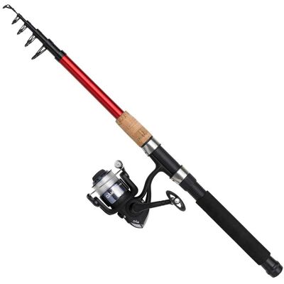 DAM Fighter Pro Telespinnkombo 210 10/30 20Fd DAM Fighter Pro Telespinnkombo 210 10/30 20Fd