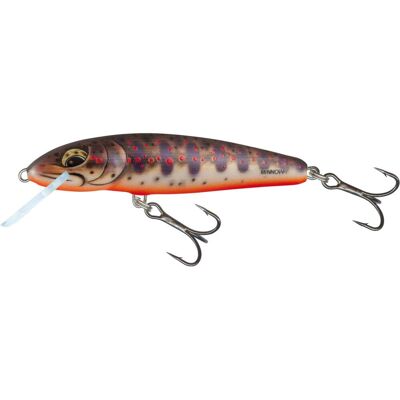 Salmo Minnow Sinking 6cm Freshwater Minnow Salmo Minnow Sinking 6cm Freshwater Minnow