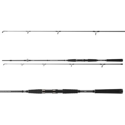 Daiwa Seahunter X 2.70m 100-200g Daiwa Seahunter X 2.70m 100-200g
