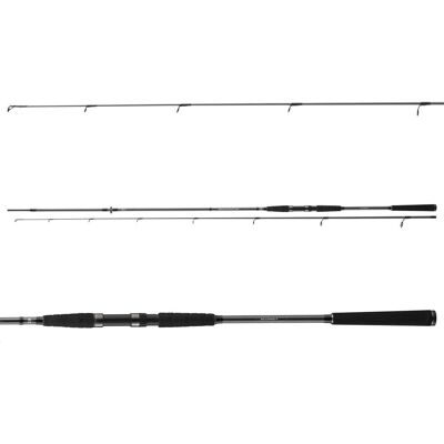 Daiwa Seahunter X Seatrout 3.10m 10-40g Daiwa Seahunter X Seatrout 3.10m 10-40g