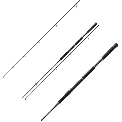 Daiwa Sealine Pilk 2,40m 60-150g Daiwa Sealine Pilk 2,40m 60-150g