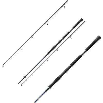 Daiwa Sealine Pilk 2,40m 80-200g Daiwa Sealine Pilk 2,40m 80-200g