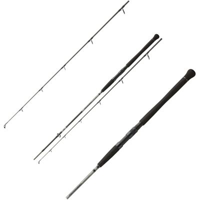 Daiwa Powermesh CF Spin 2,70m 135g Daiwa Powermesh CF Spin 2,70m 135g