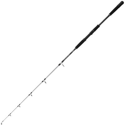 Mitchell Tanager Sw Jigging Angel - 1,62 m, 30 Lbs, SW-beständig Mitchell Tanager Sw Jigging Angel - 1,62 m, 30 Lbs, SW-beständig