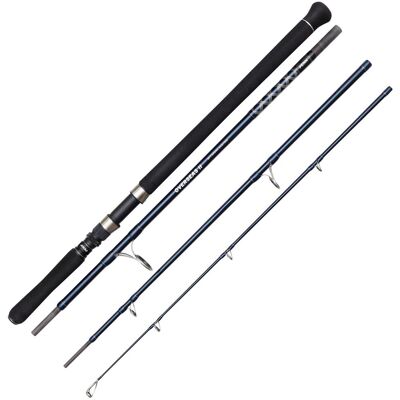 PENN Overseas Ii Offshore Casting 240 200G 4P PENN Overseas Ii Offshore Casting 240 200G 4P