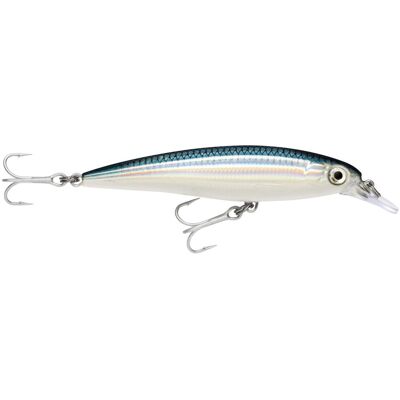 Rapala X-Rap Saltw. Sxr Bfh 12cm 1,2-2,4m schwebend Baitfish Rapala X-Rap Saltw. Sxr Bfh 12cm 1,2-2,4m schwebend Baitfish