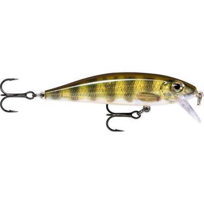 Rapala X-Rap Countdown Xrcd Pel 5cm 0,6-1,2m Taucht ab Live Perch Rapala X-Rap Countdown Xrcd Pel 5cm 0,6-1,2m Taucht ab Live Perch
