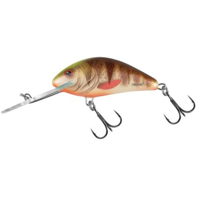 Salmo Hornet Gefleckter Brauch Fischköder Salmo Hornet Gefleckter Brauch Fischköder