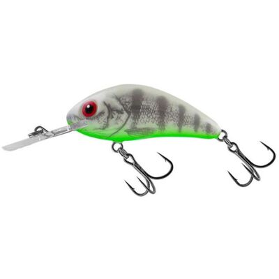 Salmo Hornet Rattlin Ghost Perch - 5,5cm, 10,5g, Tiefe 2-4m - Angelfalle Salmo Hornet Rattlin Ghost Perch - 5,5cm, 10,5g, Tiefe 2-4m - Angelfalle