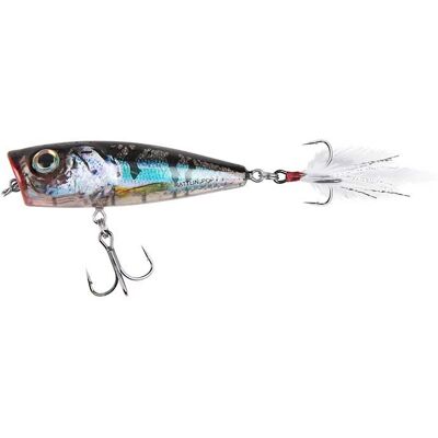 Salmo Rattlin Pop 7cm - Oberflächenköder für Süß- & Salzwasser Salmo Rattlin Pop 7cm - Oberflächenköder für Süß- & Salzwasser