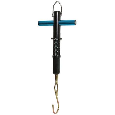 FLADEN Waage 12kg FLADEN Waage 12kg