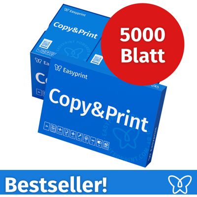 Easyprint Druckerpapier Kopierpapier 5000 Blatt 10 x 500 A4 Premium Hochweiß CIE 160 Testsieger PEFC zertifiziert Easyprint Druckerpapier Kopierpapier 5000 Blatt 10 x 500 A4 Premium Hochweiß CIE 160 Testsieger PEFC zertifiziert
