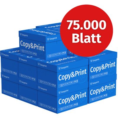 Easyprint Druckerpapier Kopierpapier 75000 Blatt 150 x 500 A4 Premium Hochweiß CIE 160 Testsieger PEFC zertifiziert Easyprint Druckerpapier Kopierpapier 75000 Blatt 150 x 500 A4 Premium Hochweiß CIE 160 Testsieger PEFC zertifiziert