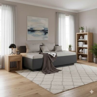 Sofaliege Eriko Komfort Kunstleder mit Bettkasten Dunkelgrau 80x204x109cm Sofaliege Eriko Komfort Kunstleder mit Bettkasten Dunkelgrau 80x204x109cm