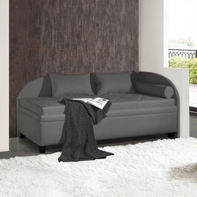 Polsterliege Kamina Microvelours mit Bettkasten Seitenteil rechts Dunkelgrau 80x209x99cm Polsterliege Kamina Microvelours mit Bettkasten Seitenteil rechts Dunkelgrau 80x209x99cm