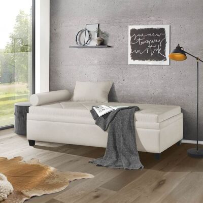 Relaxliege Kamina Microvelours mit Bettkasten Hellgrau 37x205x105cm Relaxliege Kamina Microvelours mit Bettkasten Hellgrau 37x205x105cm