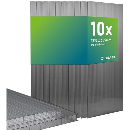 BRAST Hohlkammerplatten 10er Set 121x60,5 anthrazit