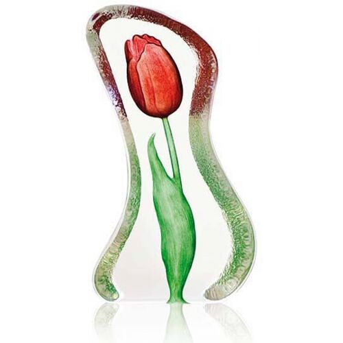 Tulpe Rot, Klein - Målerås