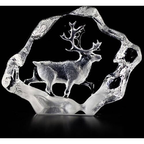 Ren, Mini - Målerås