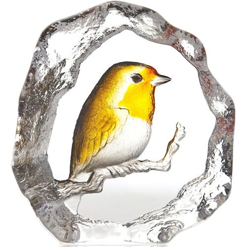 Rödhake - Målerås