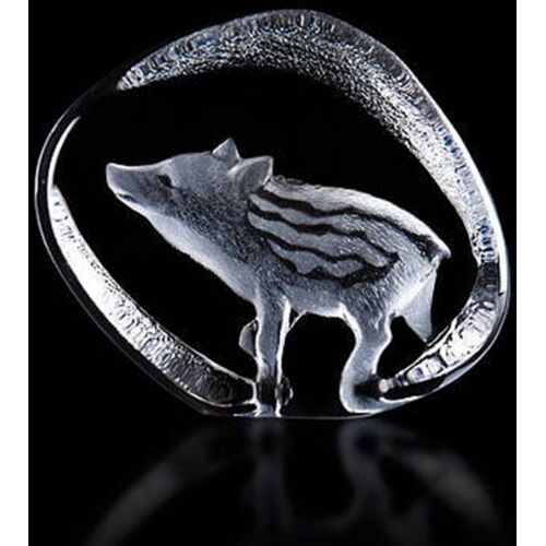 Wildschweinbaby - Målerås