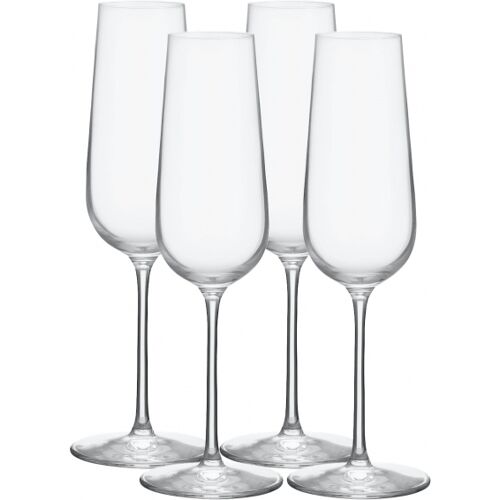 Balance Champagnerglas 21cl, 4-pack - Orrefors