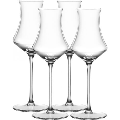 Willsberger Anniversary Digestif 19cl, 4-pack - Spiegelau