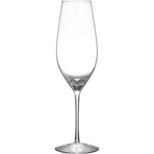 Merlot Champagnerglas, 33cl - Orrefors