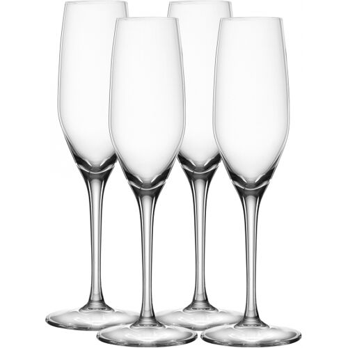 Authentis Champagnerglas 19cl, 4-pack - Spiegelau
