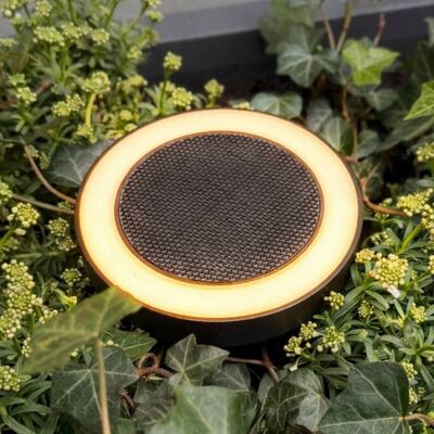 Dyberg Larsen LED-Solar-Erdspießlampe Otera, schwarz, IP54 Otera, schwarz, Aluminium, Modern, Solarleuchten Dyberg Larsen LED-Solar-Erdspießlampe Otera, schwarz, IP54 Otera, schwarz, Aluminium, Modern, Solarleuchten