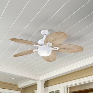 Westinghouse Deckenventilator mit Licht 7316440, grau, leise 7316440, alu / grau / zink, für Wohn- / Esszimmer, Kunststoff Westinghouse Deckenventilator mit Licht 7316440, grau, leise 7316440, alu / grau / zink, für Wohn- / Esszimmer, Kunststoff