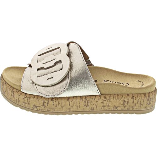 Gabor puder 41 female