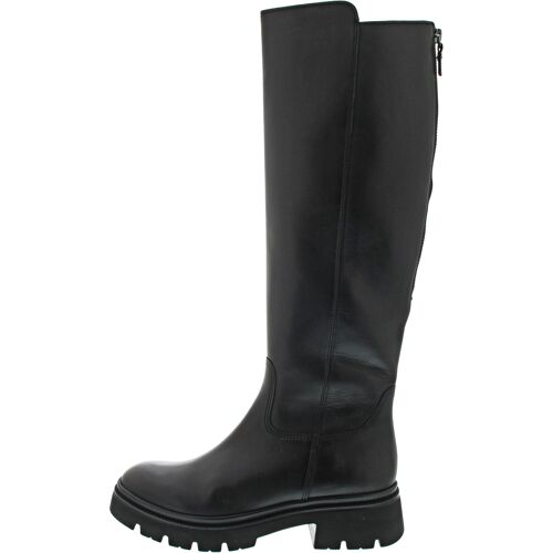 Gabor schwarz 6.5 female