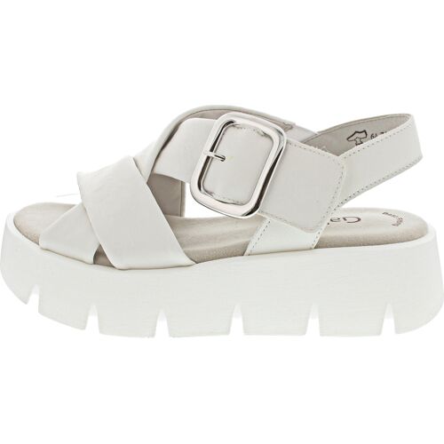 Gabor latte (uni) 7 female