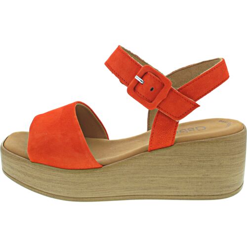 Gabor pumpkin 5 female