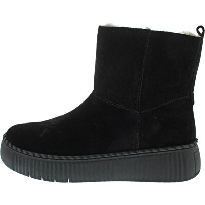 Gabor schwarz 7.5 female Gabor schwarz 7.5 female
