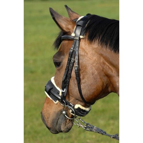 CHRIST Kinnkettenschoner braun/braun 5x14cm