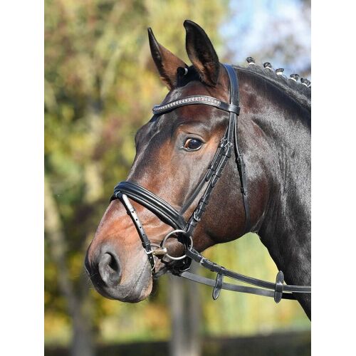 Busse Trense FAMOUS, schwarz/Strass-copper, P
