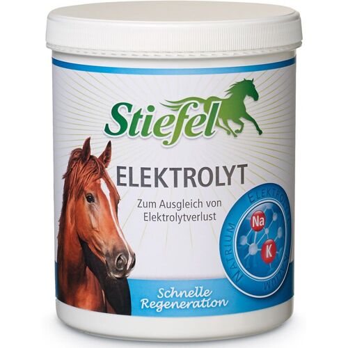 Stiefel Elektrolyt Pulver 1kg Dose