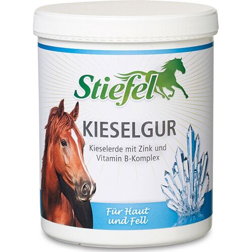 Stiefel Kieselgur 1kg Dose