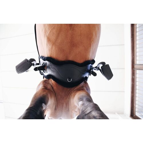 Kentucky Horsewear anatomischer Lammfell-Kurzgurt schwarz 55 cm