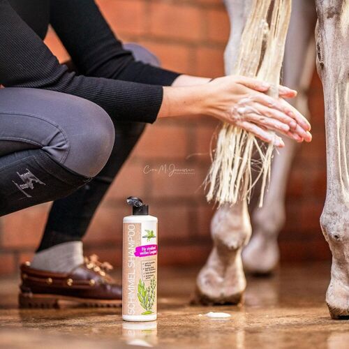 Bense & Eicke Schimmel Shampoo 500ml